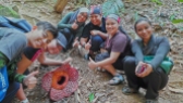 rafflesia2